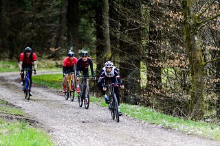 Die Region um Hellenthal in der Eifel ist dicht bewaldet