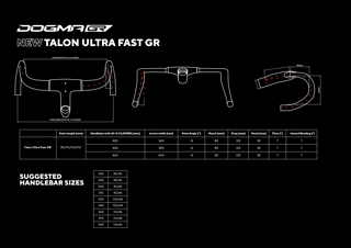 Das Talon Ultra Fast Cockpit wurde fast unverändert vom Dogma F übernommen