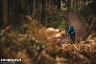 Auch auf verhältnismäßig ebenen Waldautobahnen, ja sogar auf der Straße schont die Dämpfung die Kraftreserven. Man bleibt öfter im Sattel