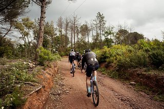 Die Testfahrten in Girona führten erst weit nach oben, dann schnell nach unten. Die Testfahrten in Girona führten erst weit nach oben, dann schnell nach unten.