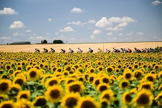 Bei gutem Wetter sieht es fast nach Vergnügen aus.