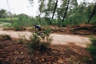 Bergab macht das Creo SL2 so viel Spaß auf dem Gravel Trail, dass man am liebsten sofort wieder hoch fahren würde