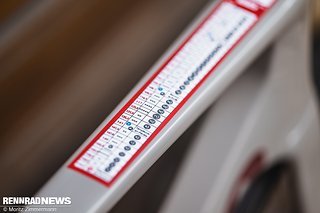 Unter anderem stand für mich auf dem Cervélo Soloist die Paris-Roubaix-Challenge 2025 auf dem Speiseplan
