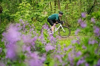 Im Unterlenker durch den Wald heizen geling mit dem Cervélo Áspero sehr schnell und auch vergleichsweise komfortabel.