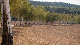 Große Straßen gibt's in Deutschland genug – viele auch, wie hier, ohne viel Verkehr zum entspannten Fahren.