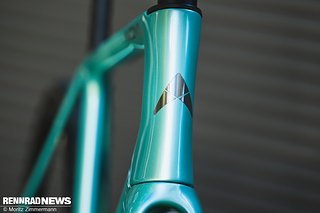 Das Steuerrohr an den L- und XL-Rahmen fällt vergleichsweise lang aus, da Avona basierend auf zahlreichen Händler-Daten festgestellt hat, dass diese Größen sehr oft mit vielen Spacern unterm Vorbau konfiguriert werden