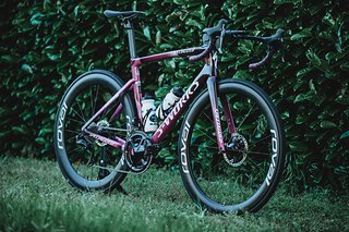 Neues Specialized Tarmac SL7 für die Sondereditions-Kollektion von Sagan