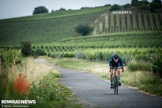 Bergab liegt das Émonda 2021 wie ein Brett – obwohl die Lenkung agil, fast schon nervös ist