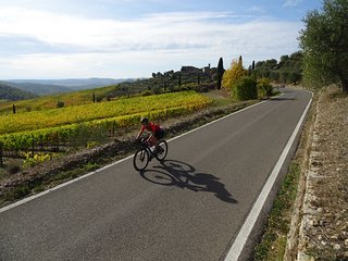 Weinreben begleiten uns durchs Chanti Gebiet.