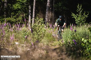 Auf Singletrails macht das Callis viel Laune, kann aber verständlicherweise nicht mit gefederten Gravel Bikes mithalten