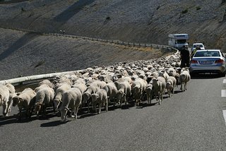 Unerwartetes Hindernis am Mont Ventoux am ersten Tag.