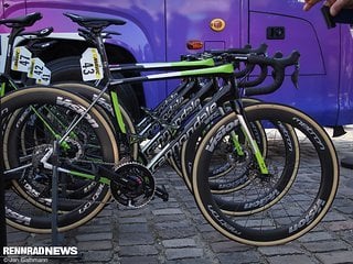 Roubaix Probikes 2019-59