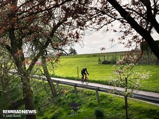 Auch auf schnellen Abfahrten geben der steife Rahmen und der satte Geradeauslauf viel Vertrauen.