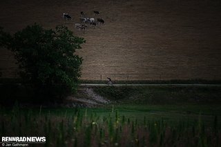 Die einen grasen, die anderen rasen