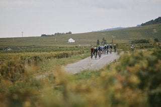 Auch heftiger Wind in den Weinbergen brachte keine Unruhe in die Steuerung.