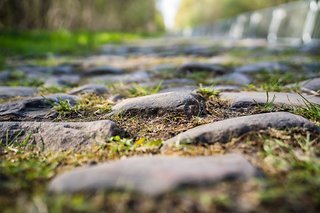 Mit normalem, handelsüblichem Kopfsteinpflaster haben einige der Abschnitte von Paris Roubaix nicht viel zu tun Mit normalem, handelsüblichem Kopfsteinpflaster haben einige der Abschnitte von Paris Roubaix nicht viel zu tun