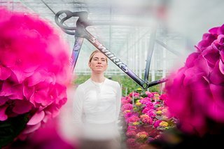 Die Farbwelt mit Purpur‑, Blau‑, Rot‑ und Grüntönen sei angelehnt an Vollerings Zeit in den Gewächshäusern ihrer Familie.