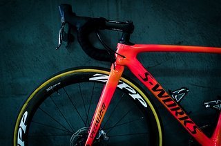 Das Specialized Roubaix besitzt eine Vorbaufederung mit 20 mm Federweg