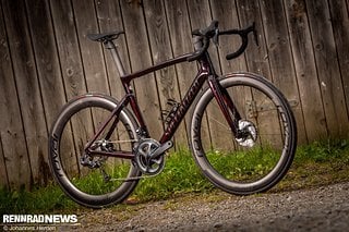 Das neue Specialized Tarmac SL7 Pro stand uns für einen Test vorab zur Verfügung