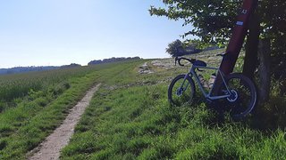 Schmaler steiler Singletrail im Ruhrgebiet Orbit.