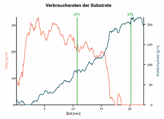 Die Fettverbrennung (orange) spielt für die Triathlon-Langdistanz eine herausragende Rolle