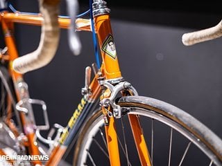 merckx-back-24-23