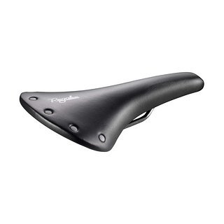 Eine Evo Racing Variante des Regal ist ebenso erhältlich.