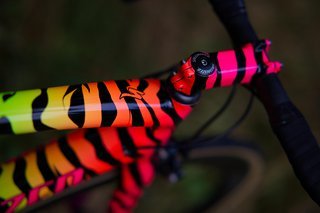 Specialized Tarmac zebra paint Vorbau