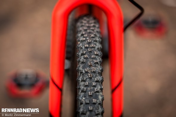 Giant Carbongabel mit Schwalbe Super Swan OEM-Reifen Giant Carbongabel mit Schwalbe Super Swan OEM-Reifen