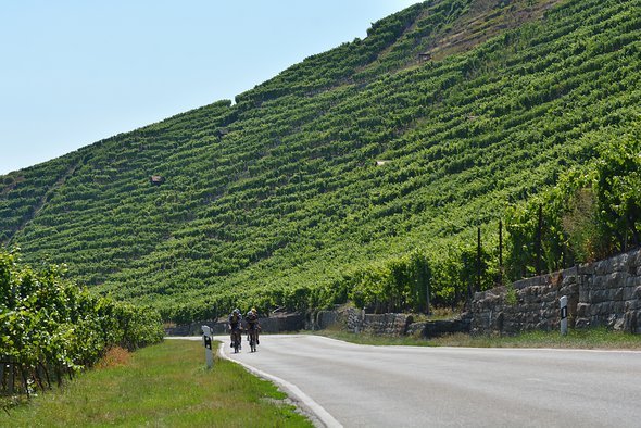 Auf der 4. Etappe von Lorsch nach Stuttgart Auf der 4. Etappe von Lorsch nach Stuttgart