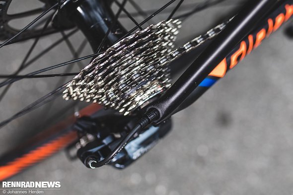 Rouleur-Vorteil Rouleur-Vorteil