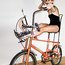 Gazelle