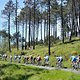 Giro d Italia - Sestri Levante