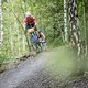 In ihrem Schatten beginnt der Bramme MTB-Trail, den die Mountainbiker auf dem Gravel Bike gerne nutzen.