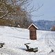 Igensdorfer Lieblingsrunde im Schnee ❄️