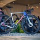 Sea Otter Classic Tag1-140