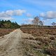 Falkenberg/Elster nach Riesa