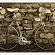 bicicletta no. 1688