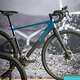 Sea Otter Classic Tag1-25