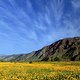 California - Borrego Valley