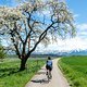 Springtime