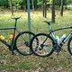 Cannondale und Specialized