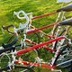 IMG 4759
