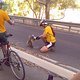 Koala Biking
