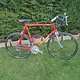 Concorde Cipressa 10,2 kg