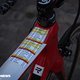 Roubaix Probikes 2019-34