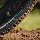 Schwalbe G-One RX PRO-19