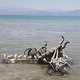 Bikes im Toten Meer 1