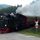Weser-Express Harz-Tour an Pfingsten