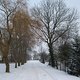 19.12.09 Schnee-Geländet our + Platten